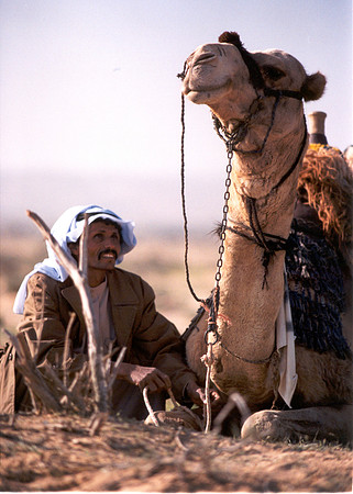 Camel rider